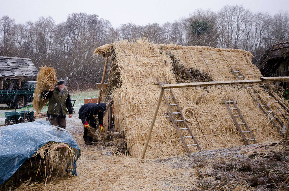 anglo saxon longhouse