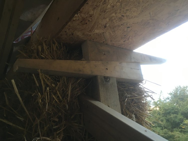 wedges used to support roof before straw bale compression